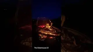 Nature therapy#wine #fire #music #outdoors #relaxation #nature #therapy #moments #stressrelief🍷🔥🎼