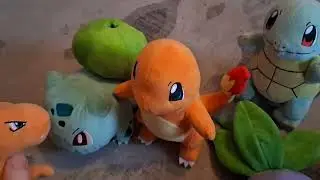 Starter squad verses Charizard episode 3