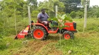 Kubota A211N Neo Star Mini Tractor with Maschio Rotavator #essenceworld