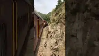 INDIAN RAILWAYS - Goram Ghat Monkeys - Marwar Mavli Meter Gauge! #indianrailways #india #railway