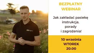 Jak zakładać pasiekę – instrukcja, porady i zagrożenia!