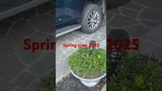 Spring time in Sydney 2025. 🍁 🌹🌸🌷🌼🌿