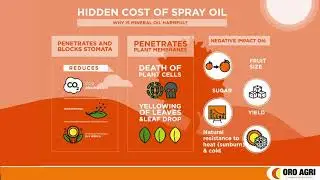 Mineral oil phytotoxicity