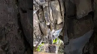 great treasure hunt#viral #shorts