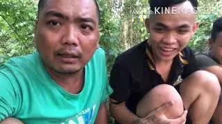 Quang Hai TV  C&aacute; Hấp B&uacute;n T&agrave;u  Si&ecirc;u NGon