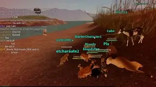KOSING PLAYERS with a HERD of IMPALAS in savannah life roblox