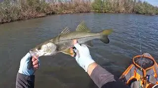 Matlacha kayak fishing, inshore slam. Southwest, Florida #1 kayak fishing charters. Post hurricane.