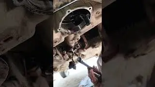Maruti 800 shifting rod seal change #latest #automobile #vahicles #popular #mechanic #viral #hamtum