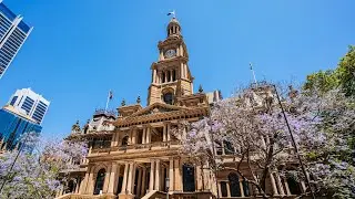 &lsquo;Stay home&rsquo;: Pro-Palestine protesters urged to not conduct rally at Town Hall in Sydney