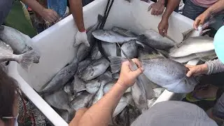 Unicorn Filefish Sashimi - тайваньская уличная еда