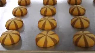 COOKIE MACHINE- MAGIC MB4S 3D