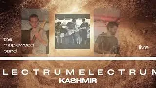 Plectrumelectrum/Kashmir #live (feat. Dave Parkhurst lll) #prince #ledzeppelin