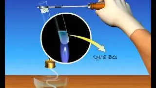 Physiology Experiment &ndash; 3
