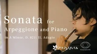 【Flute&Piano】F.Schubert: Sonata for Arpeggione and Piano,2mov /F.シューベルト: アルぺジョーネ ソナタ 第二楽章