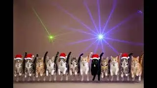 Jingle bells disco version by Dancing Cat ai cover