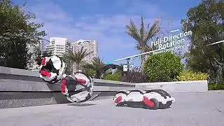 Remote Control Car - RC Cars 360&deg; Roll Stunt Snake Car with LED Lights