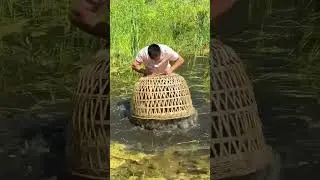 Fisherman new fish catching idea from river #fish #fishing