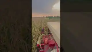 Preet combine makki ta #farming #tractor #farmer #preet ￼