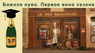 Божоле нуво. Первое вино сезона