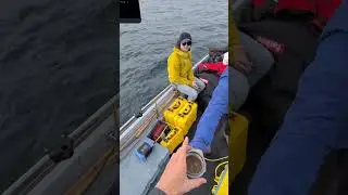 Blue Robotics - Field Trips - Victoria, British Columbia