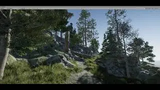 HDRP Grass test_01
