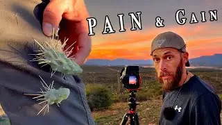 The Desert Fought Back, Then This Happened