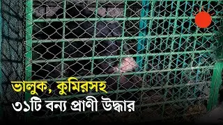 অনুমোদনহীন চিড়িয়াখানায় বন বিভাগের অভিযান | Unauthorized zoos
