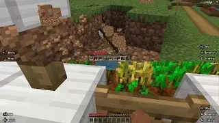 Minecraft_weak force field