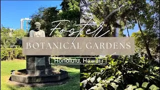 Foster Botanical Garden | Peaceful Nature Walk in the Heart of Honolulu, Hawai‘i
