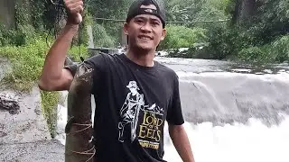 1rst ENTRY SA LORD OF THE EEL HUNTING COMPETITION 🫡🫡🫡