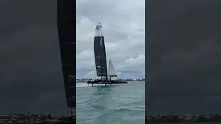 All gas no brakes at training camp #SailGP #Sailing #Bermuda #SailRacing