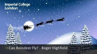 Can Reindeer Fly?