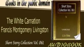 The White Carnation Francis Montgomery Livingston Audiobook