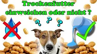 Trockenfutter einweichen oder nicht ? - Das ist hier die Frage! 😁🤗 - Was macht Sinn und warum ?