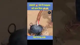 Hot 🥵 oil vs Colgate 😱 | @Experiment King | #experiment #youtubeshorts #ytshorts #shorts #short #yt