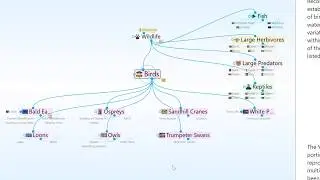 TheBrain Layouts