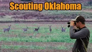SCOUTING PUBLIC LAND IN OKLAHOMA, (preparing for season)