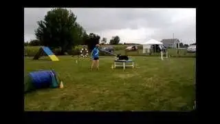 Spot On Agility AAC August 31st
