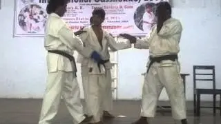 www.genseiryu.in