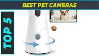 Top 5 Best Pet Cameras  in 2024