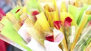 SANT JORDI 2019 a Viladecavalls
