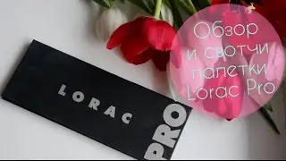 ОБЗОР и СВОТЧИ палетки Lorac PRO / Review and swatches Lorac PRO palette | LAUREATKA