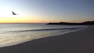 BACK TO MY ROOTS - WORIMI COUNTRY