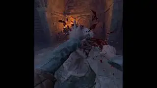 Hellsplit Arena VR brutal finisher #gaming #hellsplitarena #vr #quest3 #brutal