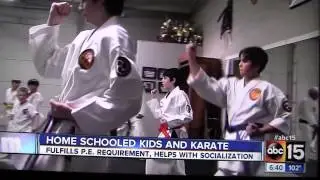 Peaceful Warrior Homeschool and Karate