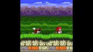 Tails Tears Knuckles To Pieces #shorts