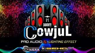COWJUL  - BOUNT! ( PARTY SENTAK )