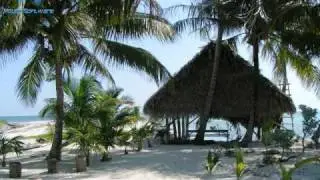 Calypso Bertrand - YOU BETTER BELIZE IT