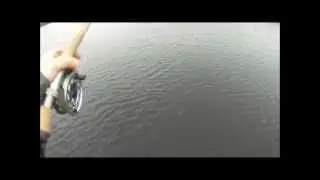 Team Santiago - Pike fly fishing