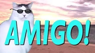 HAPPY BIRTHDAY AMIGO! - EPIC CAT Happy Birthday Song